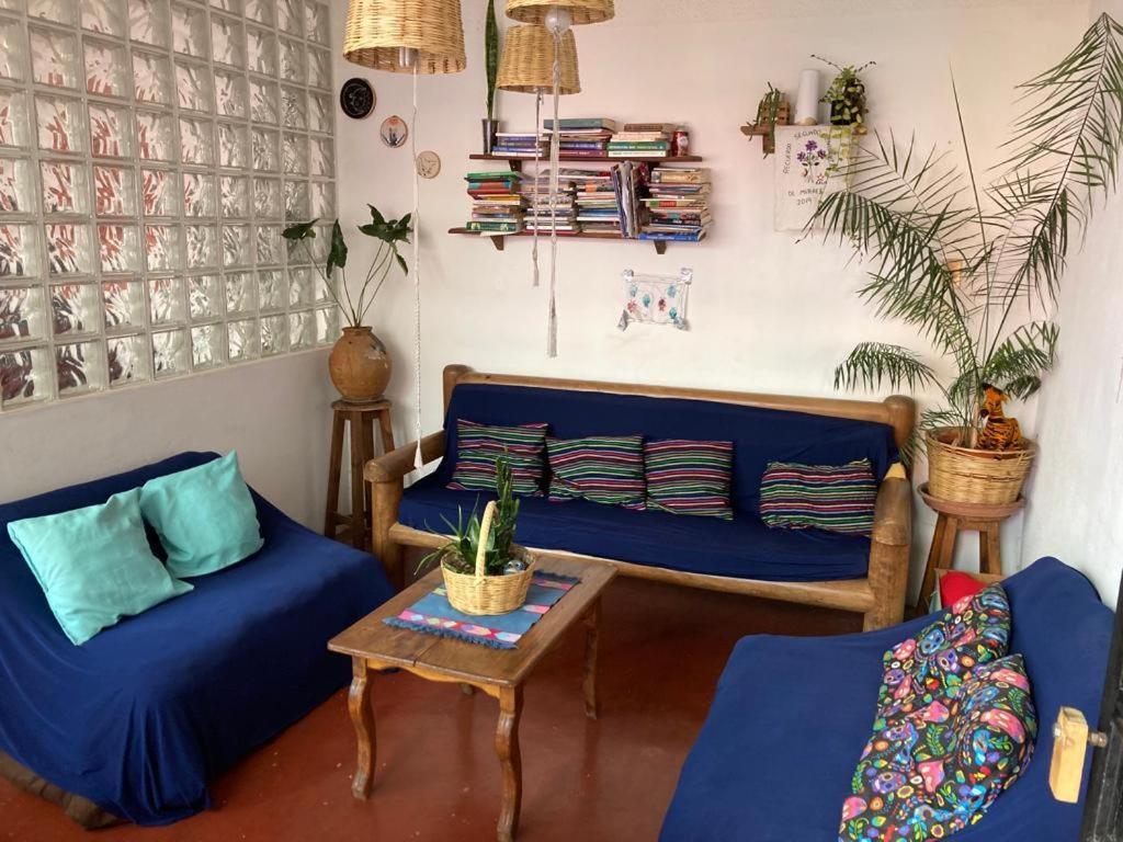 Casa Huipil Hotel San Cristóbal de Las Casas Kültér fotó